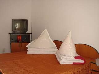 Мотели Motel Cristina Биказ Двухместный номер с 1 кроватью или 2 отдельными кроватями-8