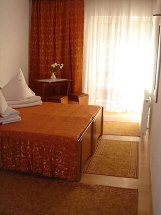 Мотели Motel Cristina Биказ Двухместный номер с 1 кроватью или 2 отдельными кроватями-12