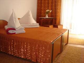 Мотели Motel Cristina Биказ Двухместный номер с 1 кроватью или 2 отдельными кроватями-2
